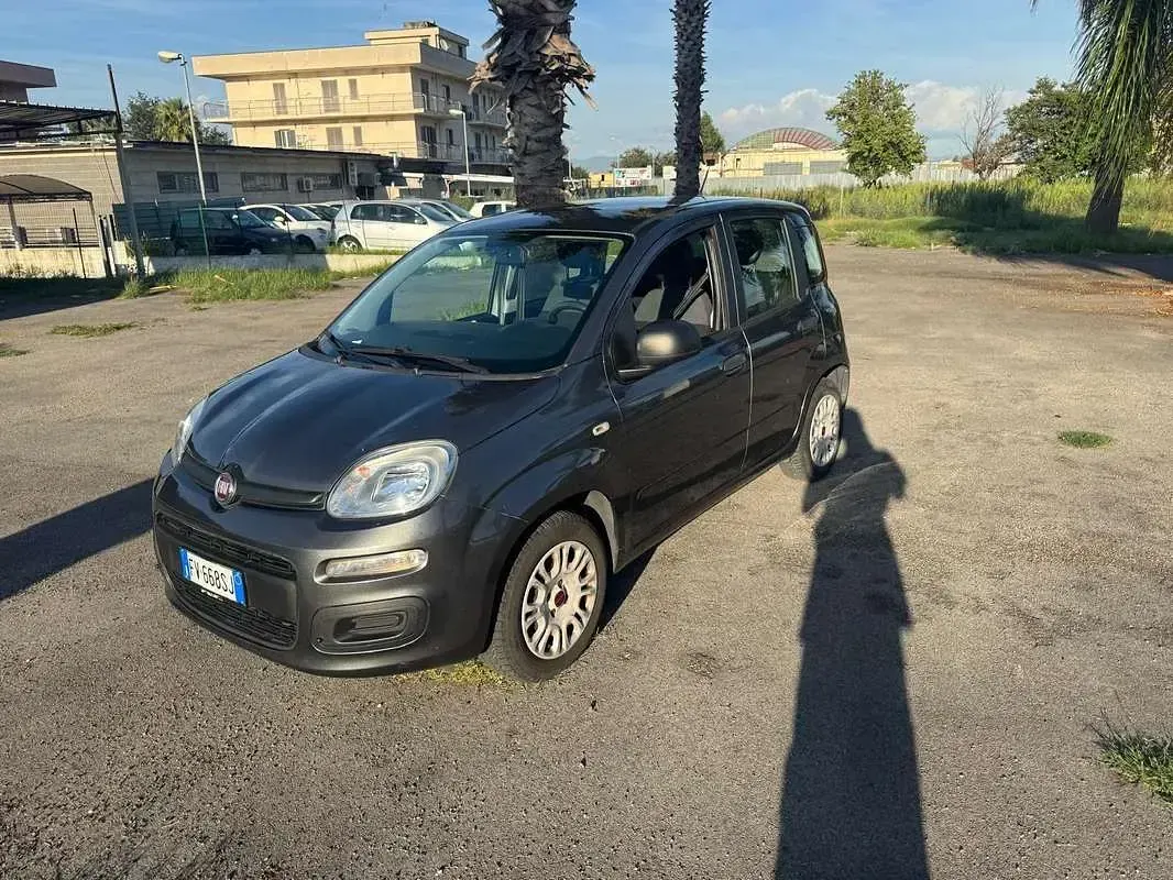 Usata Fiat Panda Easy 69 CV (50 kW) 2019 Utilitaria