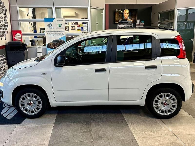 Usata Fiat Panda Easy 69 CV (50 kW) 2020 Bianco Utilitaria