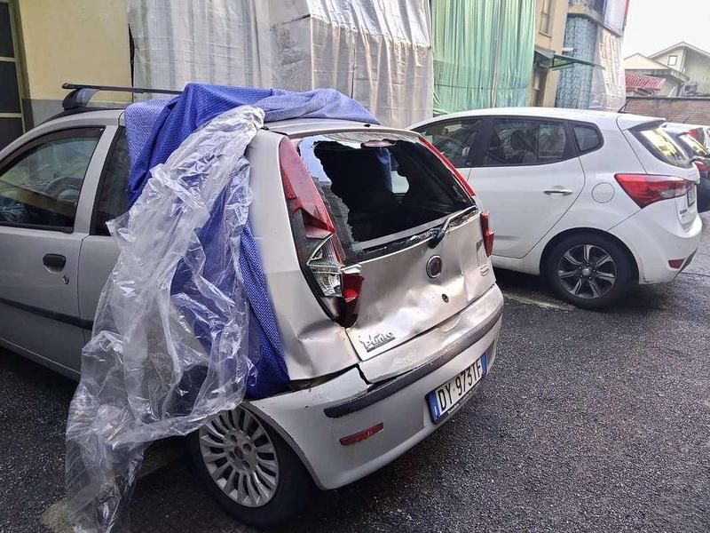 Usata Fiat Punto Active 60 CV (44 kW) 2009 Berlina