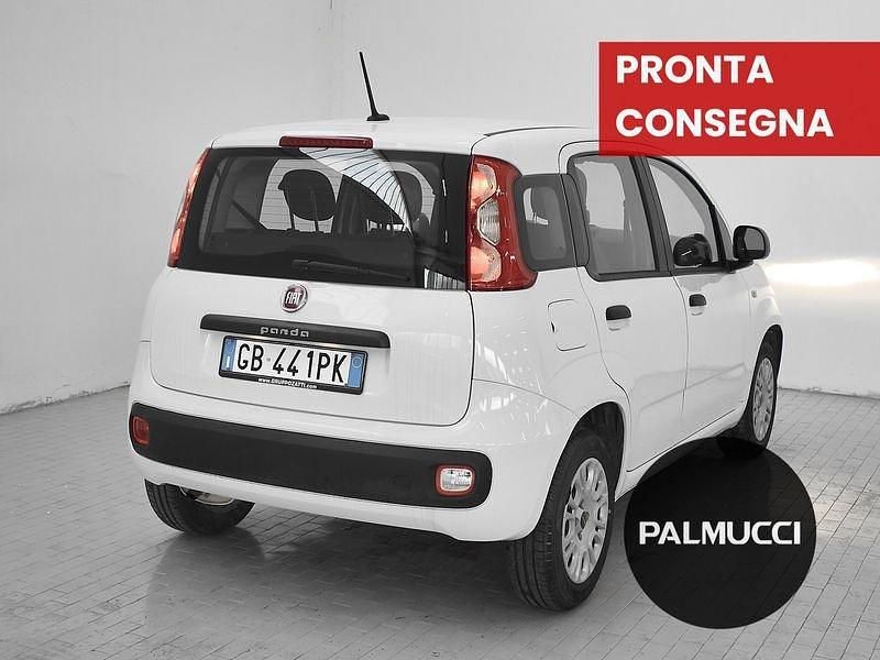 Usata Fiat Panda Easy 69 CV (50 kW) 2020 Utilitaria