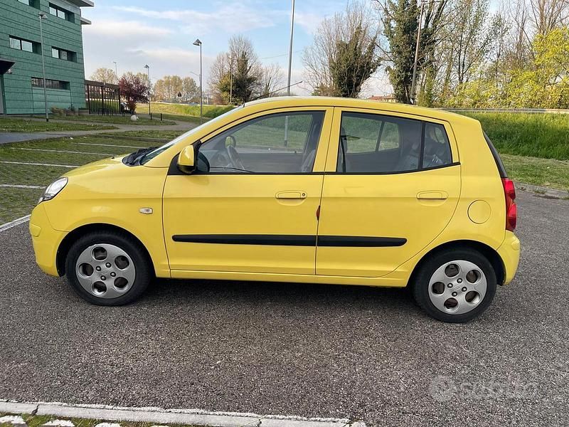 Usata Kia Picanto 60 CV (44 kW) 2009 Giallo Utilitaria