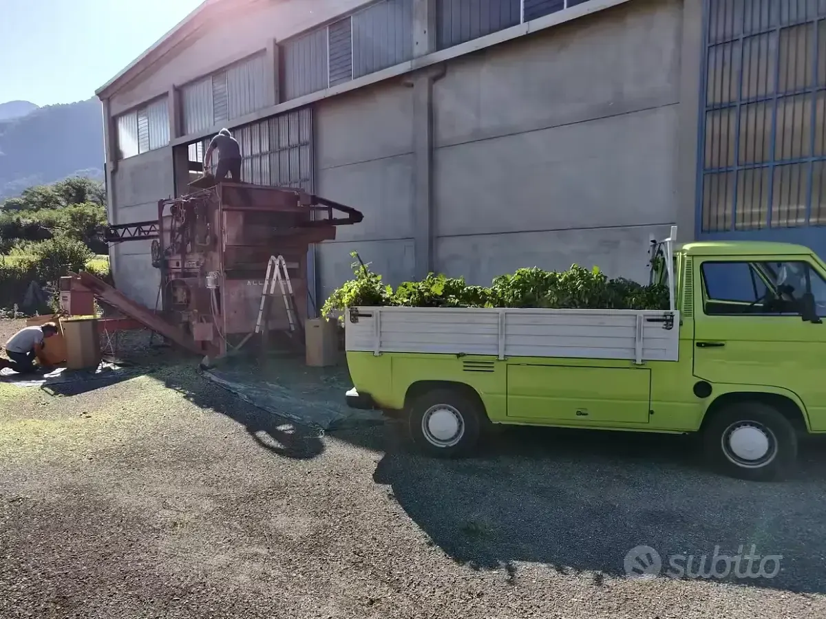 Usata VW T3 1981 Furgone