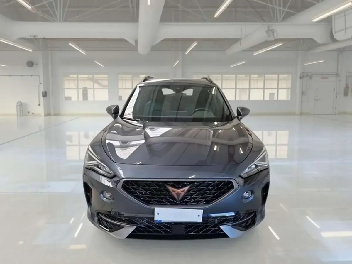 Usata Cupra Formentor 150 CV (110 kW) 2022 Grigio SUV
