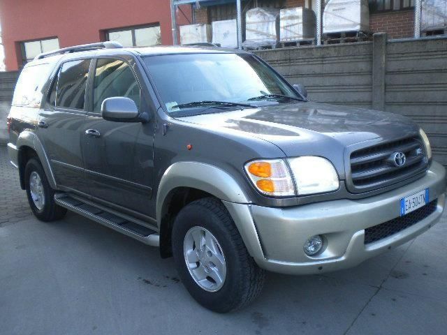 busuioc verde-n unghieri busuioc verde-n unghieri