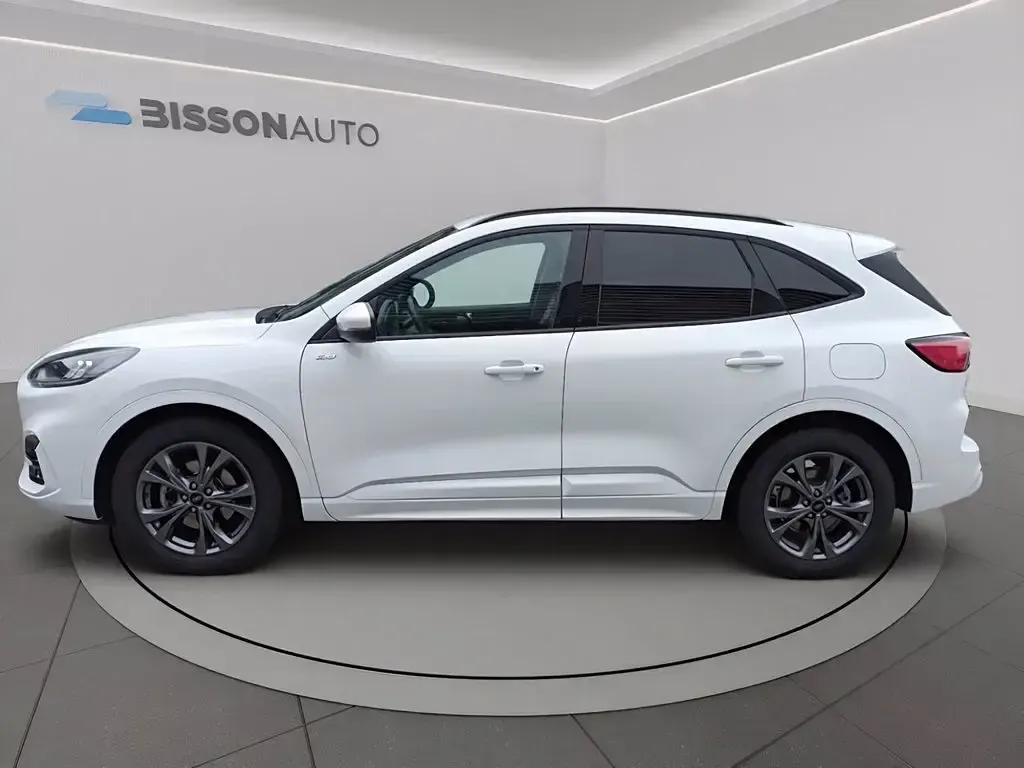 Usata Ford Kuga ST-Line 120 CV (88 kW) 2024 Bianco frozen SUV