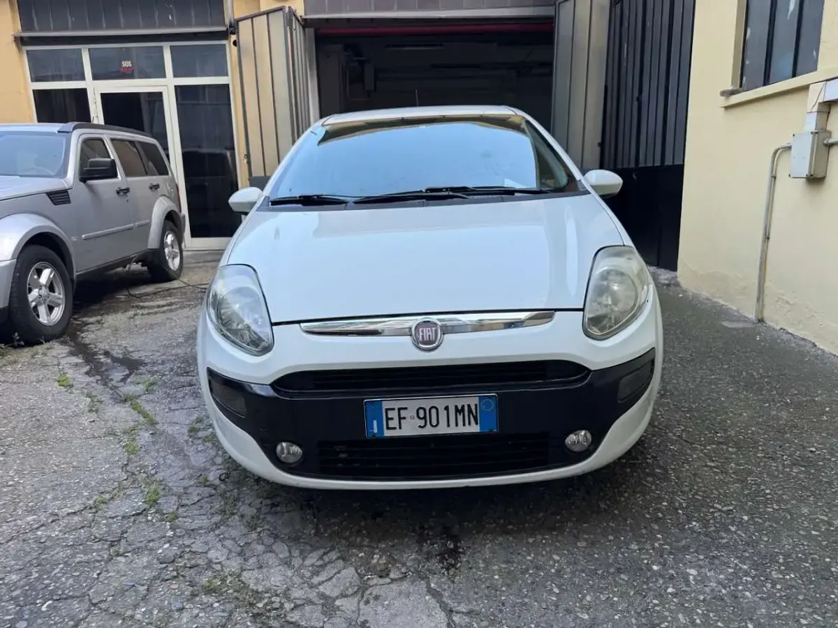 Usata Fiat Punto Evo Dynamic 75 CV (55 kW) 2010 Bianco Utilitaria