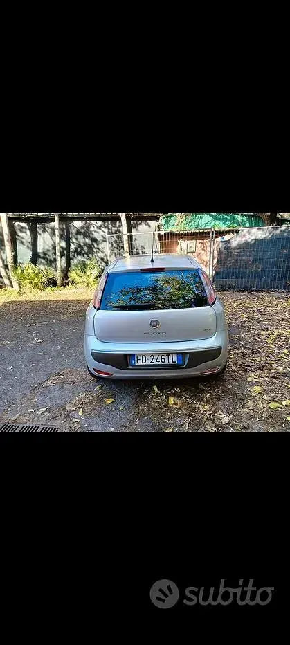 Usata Fiat Punto Evo 65 CV (47 kW) 2010 Grigio Utilitaria