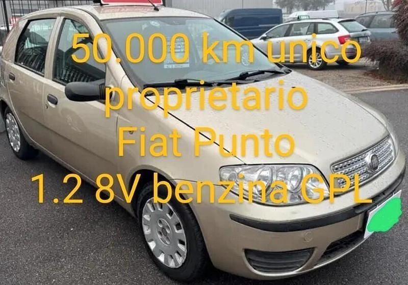 Usata Fiat Punto Active 59 CV (43 kW) 2010 Oro Utilitaria