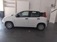 Usata Fiat Panda S 69 CV (50 kW) 2021 Bianco Utilitaria