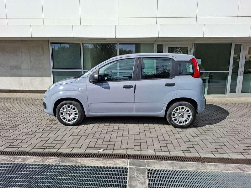 Usata Fiat Panda Easy 69 CV (50 kW) 2020 Grigio Utilitaria