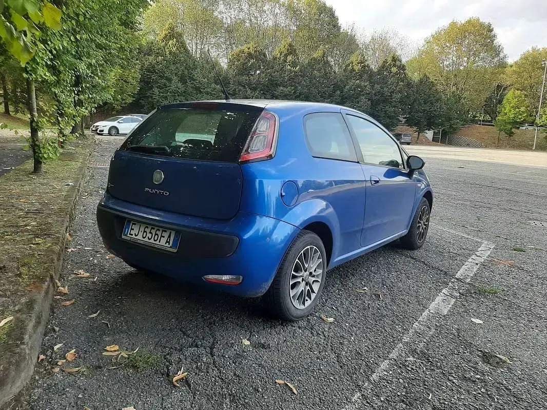 Usata Fiat Punto Evo Active 69 CV (50 kW) 2011 Blu Utilitaria