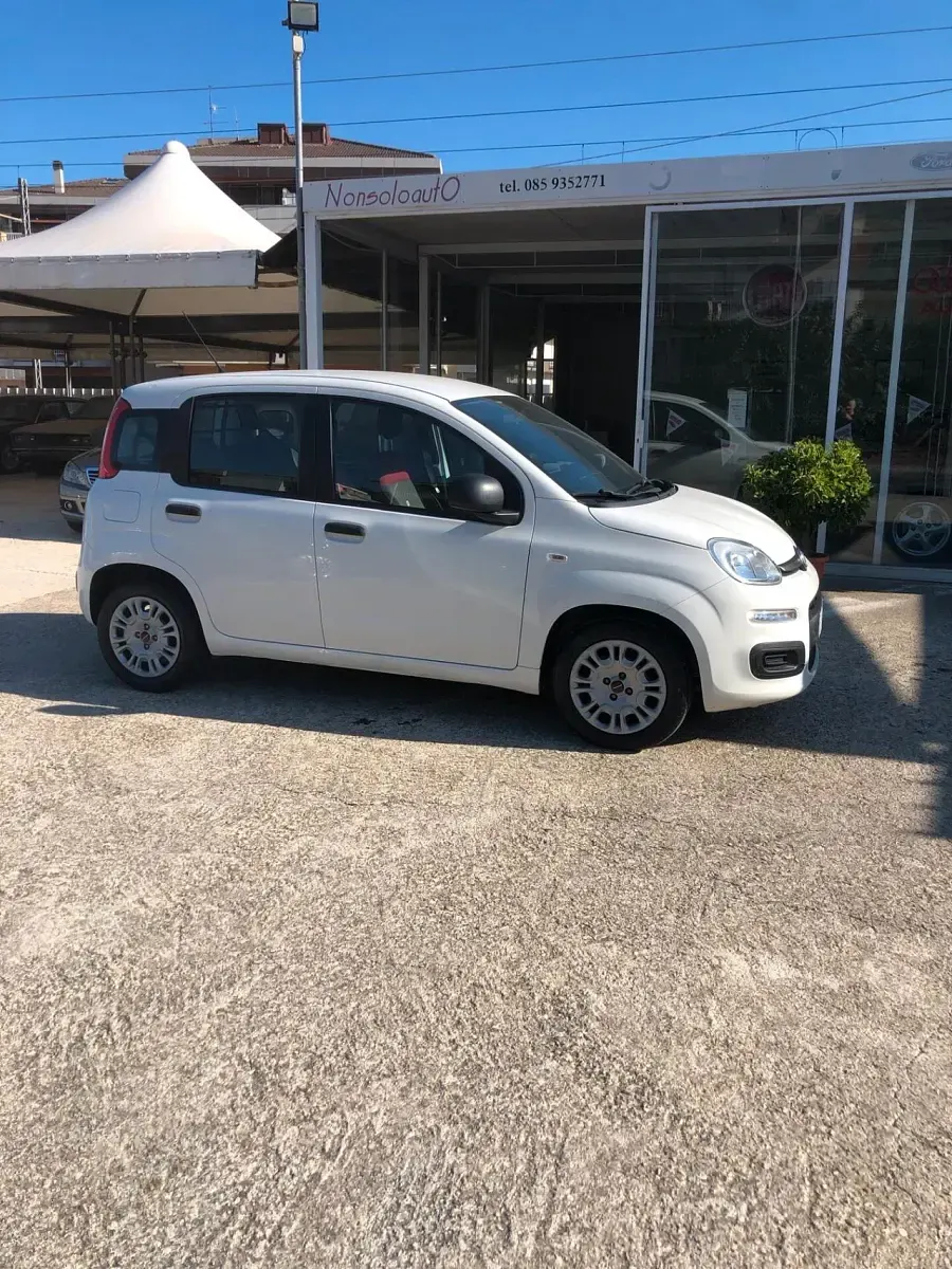 Usata Fiat Panda Dynamic 75 CV (55 kW) 2012 Bianco Utilitaria
