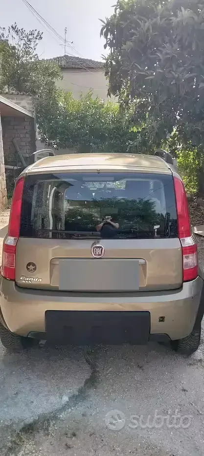 Usata Fiat Panda 60 CV (44 kW) 2008 Utilitaria