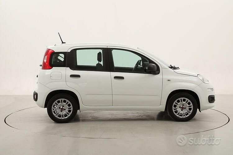 Usata Fiat Panda Easy 69 CV (50 kW) 2020 Bianco Utilitaria