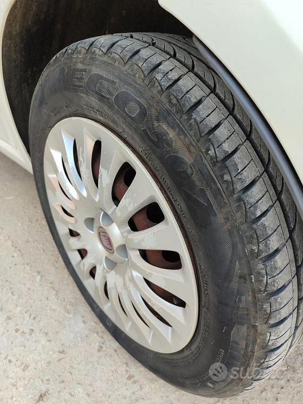 Usata Fiat Punto Evo 75 CV (55 kW) 2011 Bianco Utilitaria