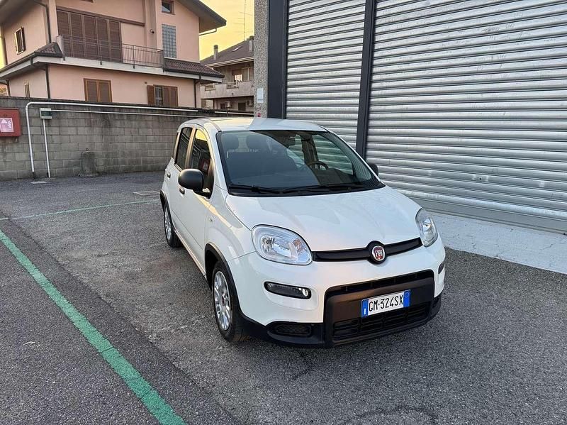 Usata Fiat Panda City Life 69 CV (50 kW) 2023 Bianco Utilitaria