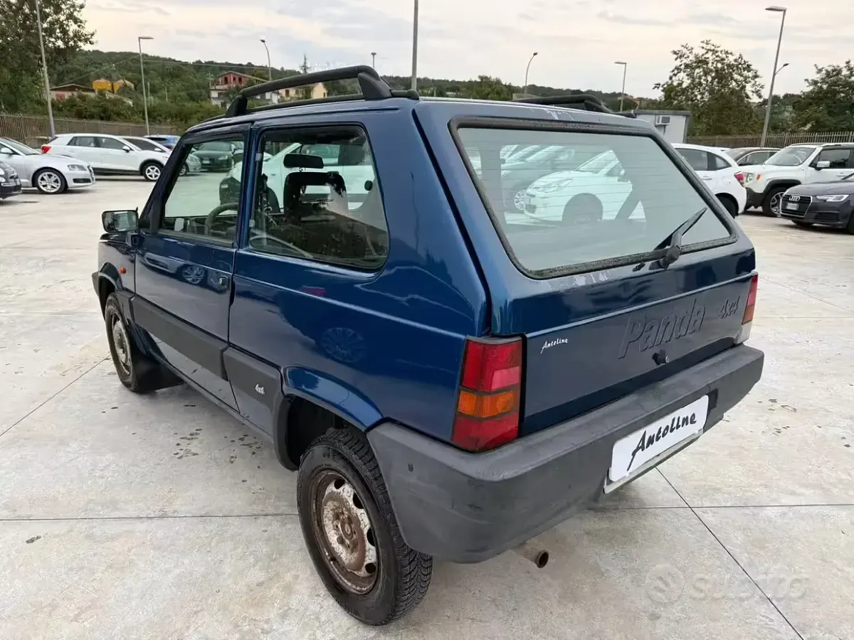 Usata Fiat Panda 4x4 Trekking 54 CV (39 kW) 2001 Blu Utilitaria