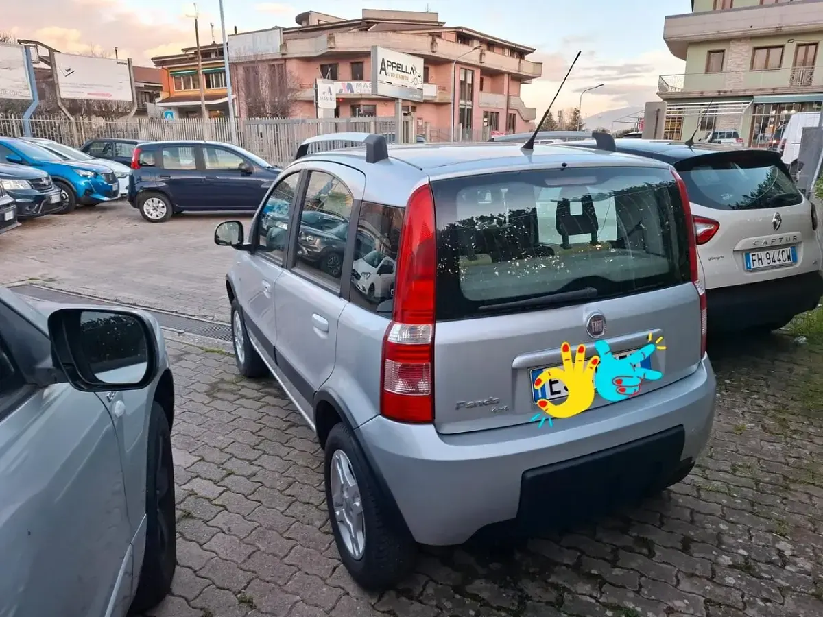 Usata Fiat Panda 4x4 Climbing 75 CV (55 kW) 2011 Argento Utilitaria