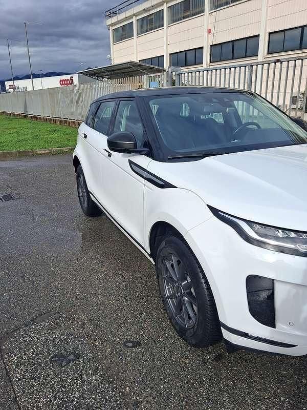 Usata Land Rover Range Rover evoque 150 CV (110 kW) 2019 Bianco SUV
