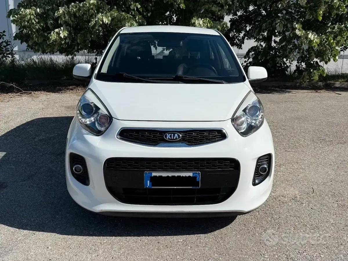 Usata Kia Picanto Active 65 CV (47 kW) 2016 Bianco Utilitaria