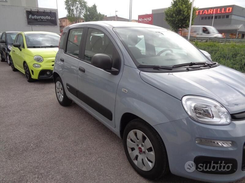 Usata Fiat Panda Easy 69 CV (50 kW) 2019 Grigio Utilitaria