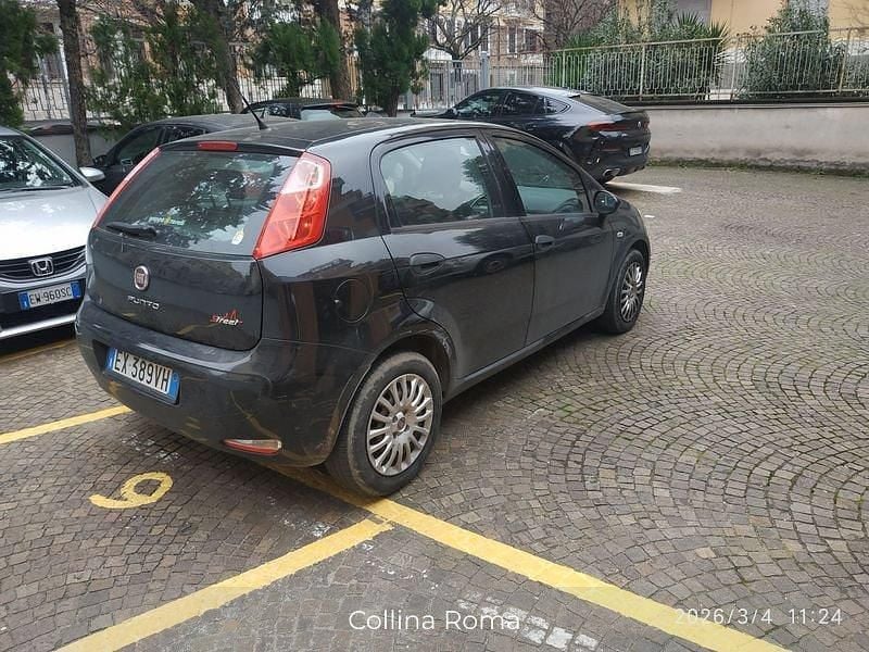 Usata Fiat Punto Street 75 CV (55 kW) 2014 Nero Utilitaria