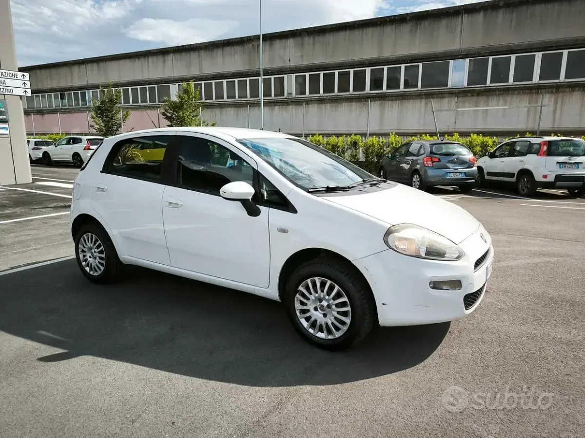 Usata Fiat Punto 77 CV (56 kW) 2013 Utilitaria
