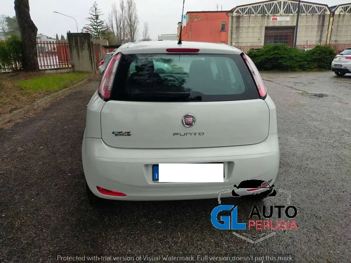 Usata Fiat Punto 77 CV (56 kW) 2015 Bianco Utilitaria