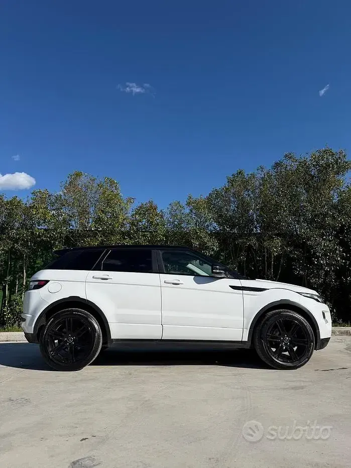 Usata Land Rover Range Rover evoque 190 CV (139 kW) 2014 Bianco Berlina