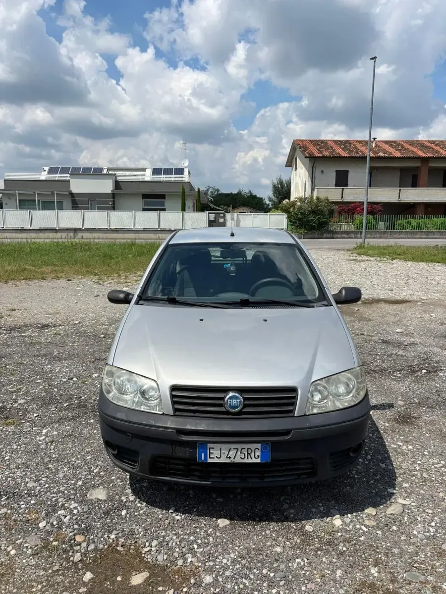 Usata Fiat Punto Active 59 CV (43 kW) 2011 Argento Utilitaria