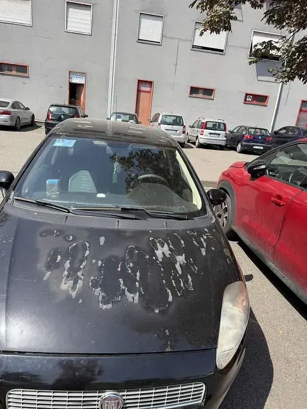 Usata Fiat Grande Punto Dynamic 77 CV (56 kW) 2009 Utilitaria