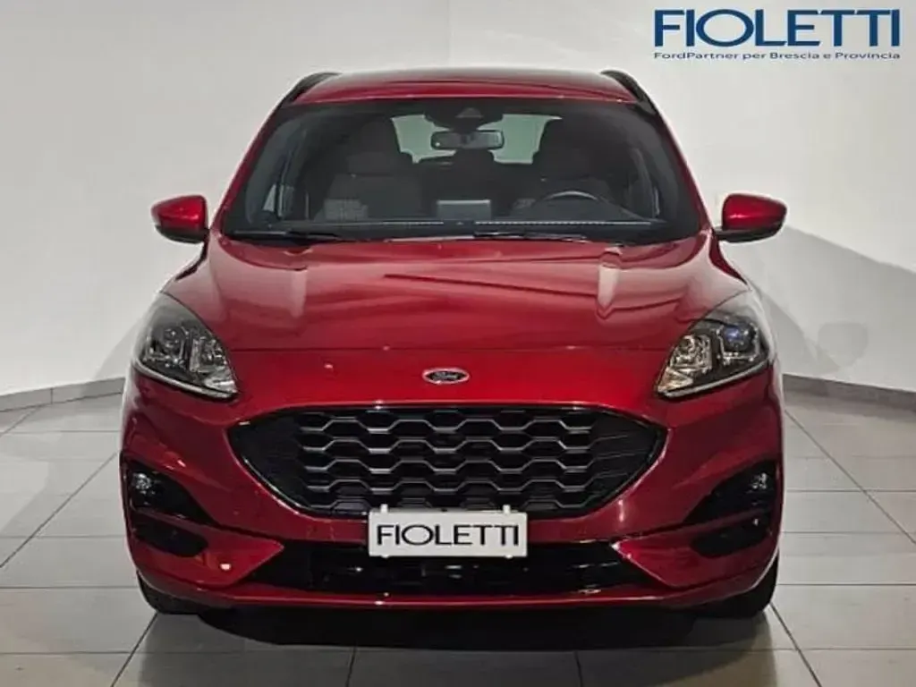 Usata Ford Kuga ST-Line 190 CV (139 kW) 2023 Rosso SUV