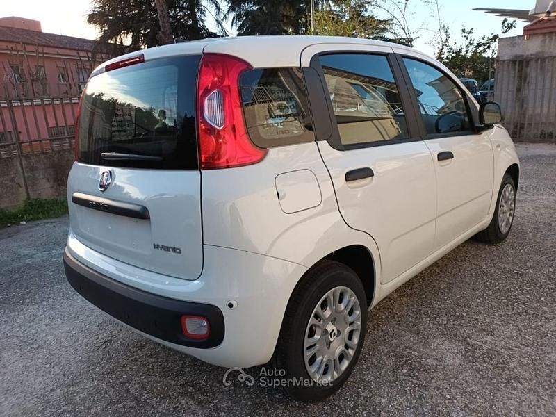 Nuova Fiat Panda Icon 70 CV (51 kW) 2025 Bianco Utilitaria