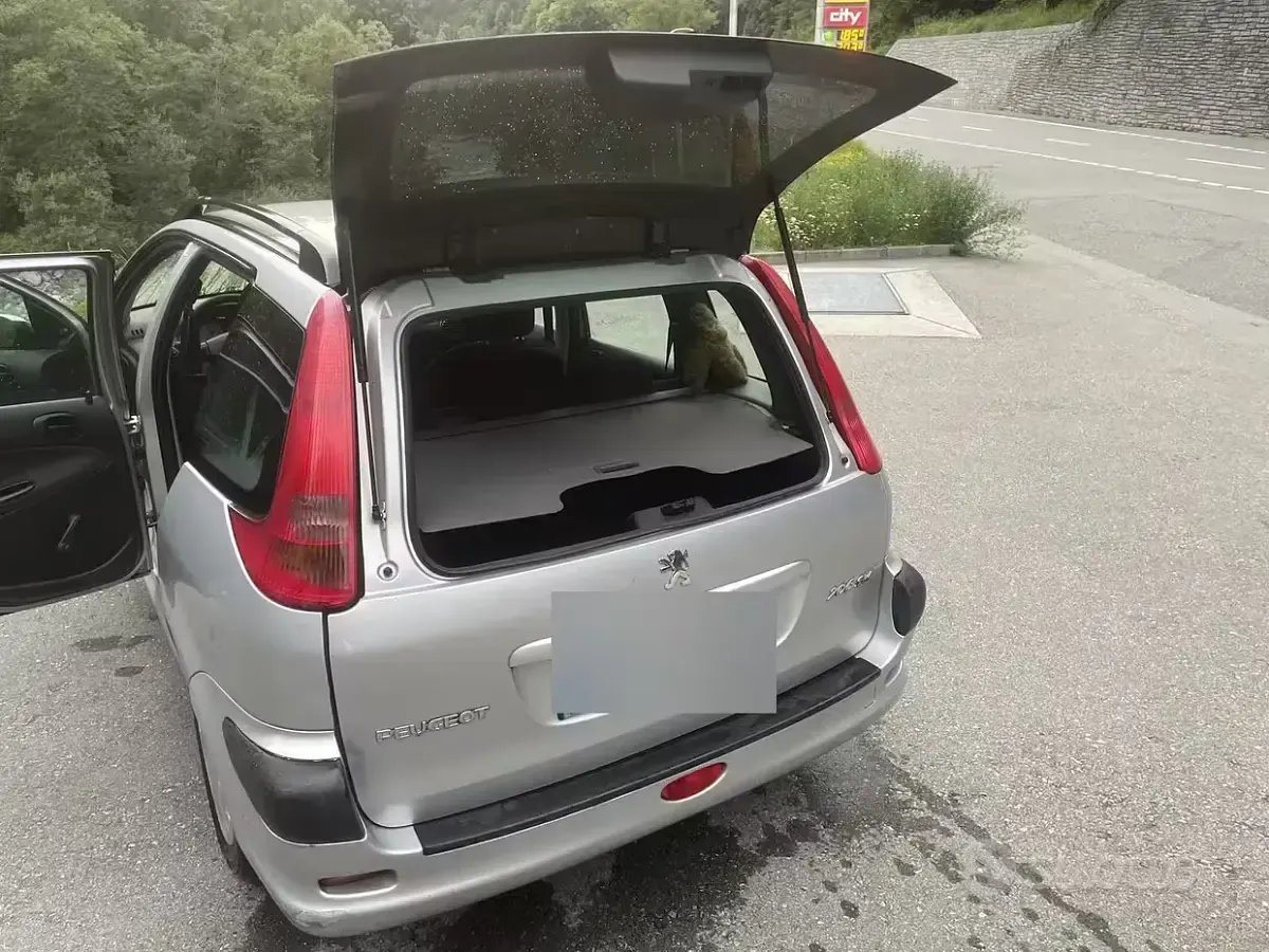Usata Peugeot 206 75 CV (55 kW) 2003 Grigio Station wagon
