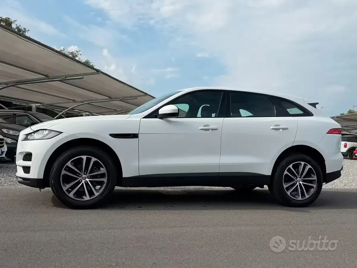Usata Jaguar F-Pace Prestige 241 CV (177 kW) 2021 Bianco SUV