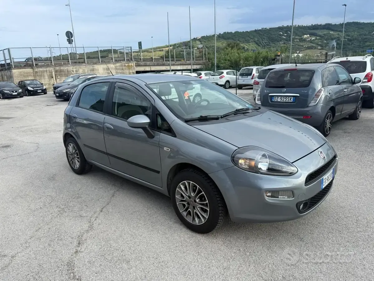 Usata Fiat Punto Lounge 69 CV (50 kW) 2013 Grigio Utilitaria