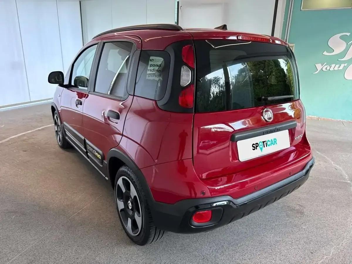 Usata Fiat Panda S 69 CV (50 kW) 2025 Rosso Utilitaria