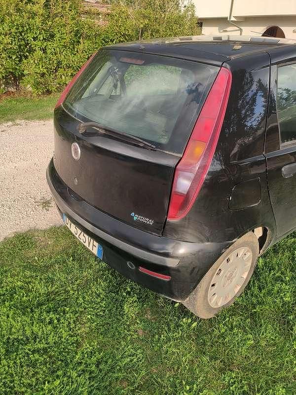 Usata Fiat Punto Classica 60 CV (44 kW) 2009 Nero Utilitaria