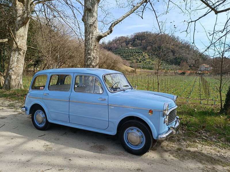 Usata Fiat 1100 52 CV (38 kW) 1962 Blu/azzurro Station wagon