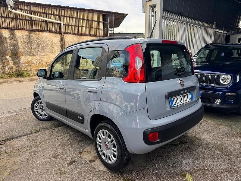 Usata Fiat Panda Lounge 69 CV (50 kW) 2020 Grigio Utilitaria