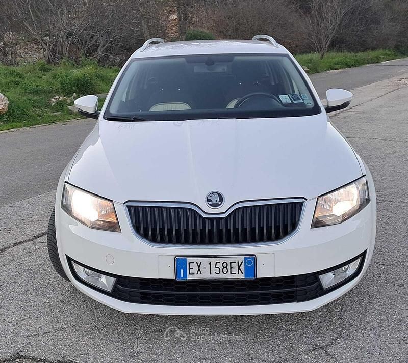 Usata Skoda Octavia Ambition 105 CV (77 kW) 2014 Bianco Station wagon