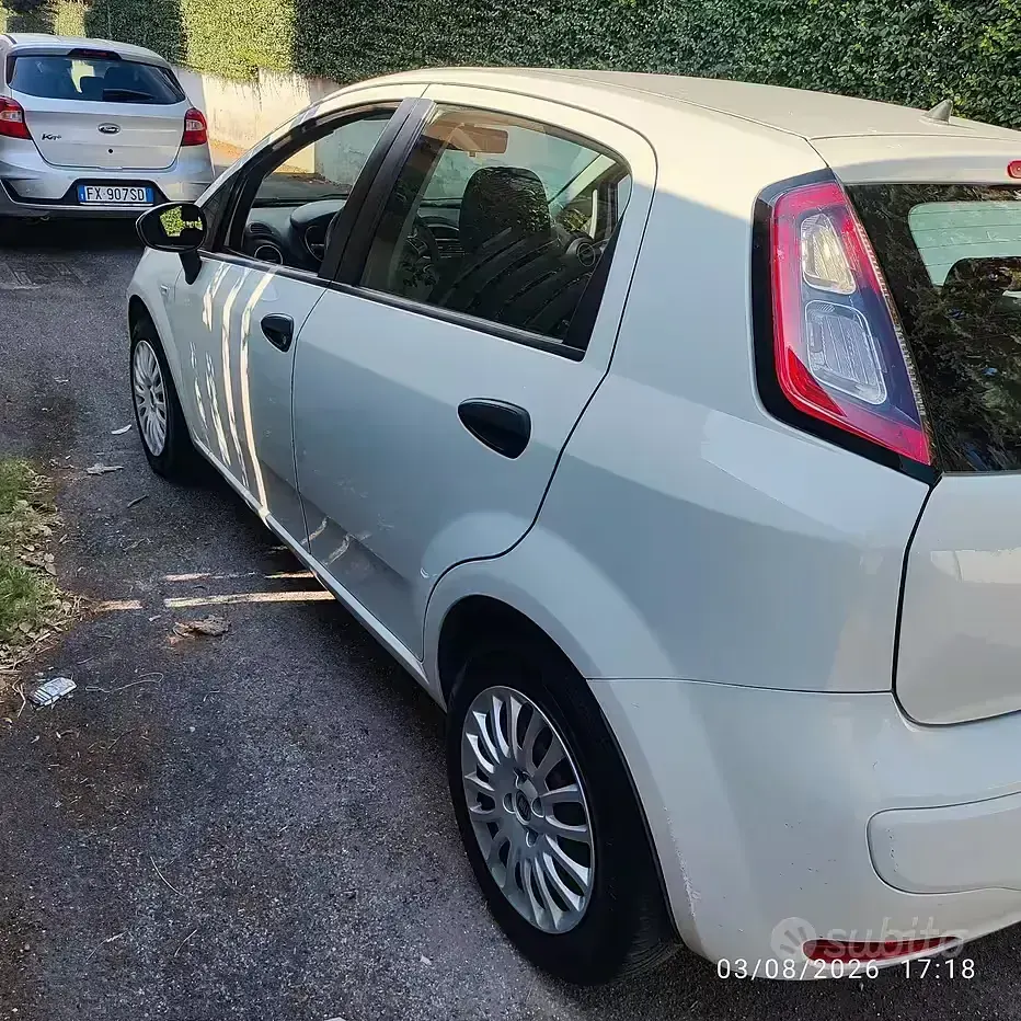 Usata Fiat Punto Street 77 CV (56 kW) 2015 Utilitaria