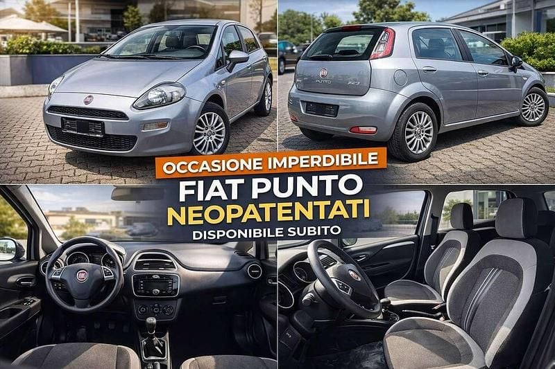 Usata Fiat Punto Easy 69 CV (50 kW) 2012 Grigio Utilitaria
