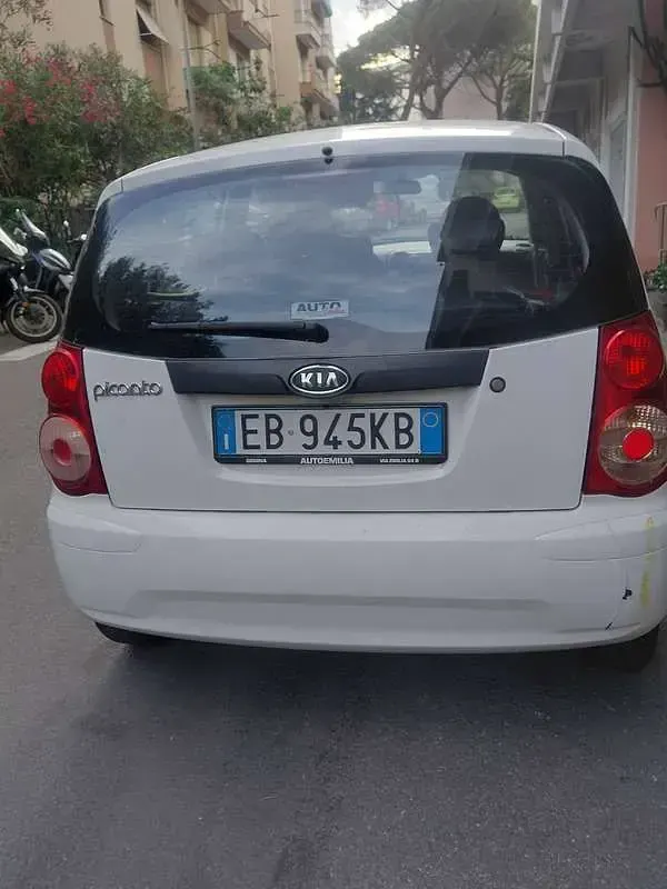 Usata Kia Picanto 63 CV (46 kW) 2010 Bianco Utilitaria