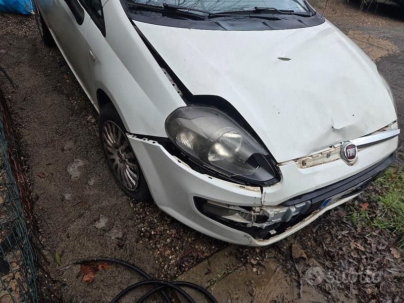 Usata Fiat Punto 2011 Berlina
