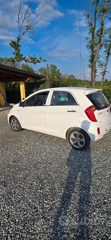 Usata Kia Picanto 67 CV (49 kW) 2015 Bianco Utilitaria