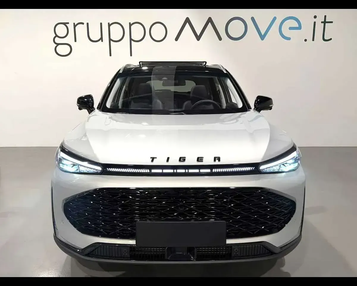 Usata Tiger Eight 167 CV (122 kW) 2025 Sterling mist SUV