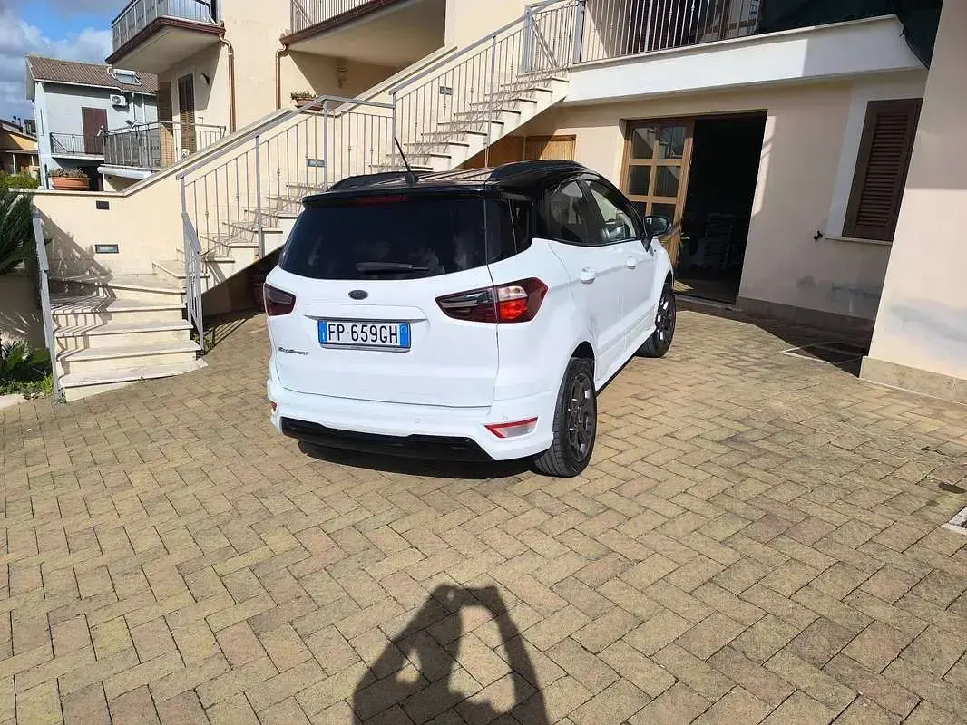 Usata Ford Ecosport ST-Line 99 CV (72 kW) 2018 Bianco SUV