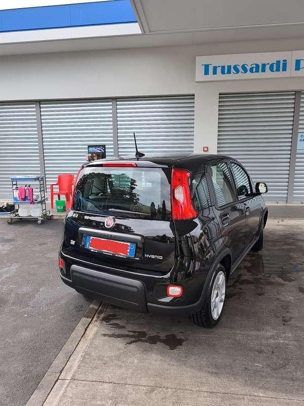 Usata Fiat Panda S 69 CV (50 kW) 2023 Utilitaria