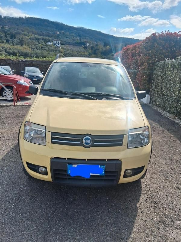 Usata Fiat Panda 4x4 Climbing 59 CV (43 kW) 2007 Giallo Utilitaria